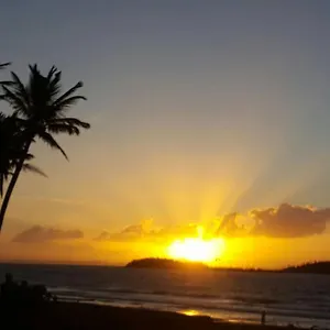https://free-wifi-1st-floor-apartment.comcaribbean.com